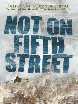 cover image of Not on Fifth Street